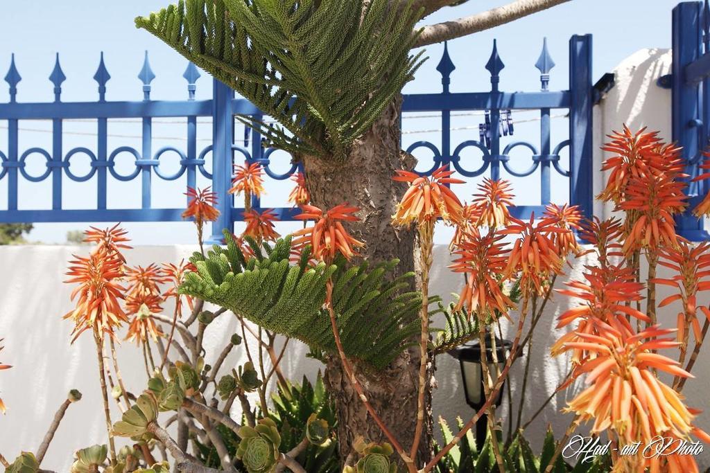 Happening Imerovigli (Santorini)